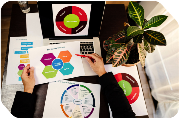 arms reviewing marketing graphs and reports on a desk with a plant, laptop, and glass of water visible.